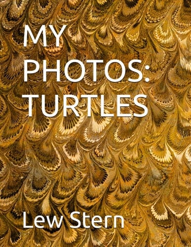 MY PHOTOS: TURTLES