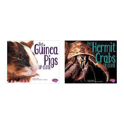 Pets Up Close