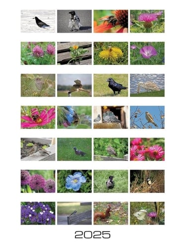 Stadtnatur Wochenkalender 2025