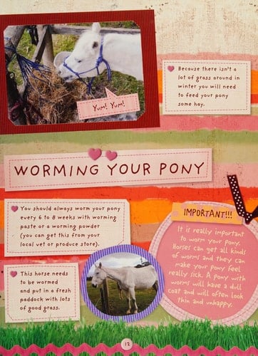 My Best Pony Book