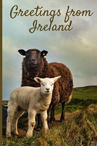 Greeting from Ireland: Irish and sheep themed notebook with funny quote and 120 pages for writing