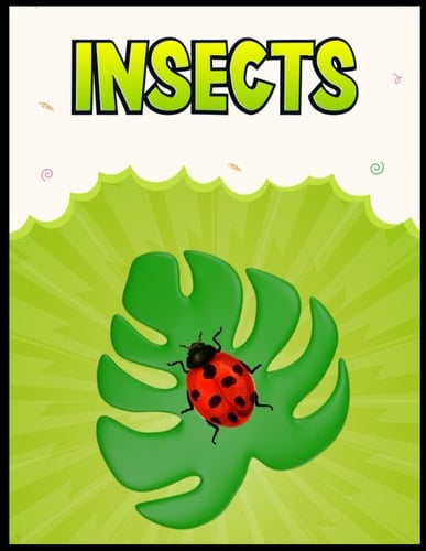 Insects