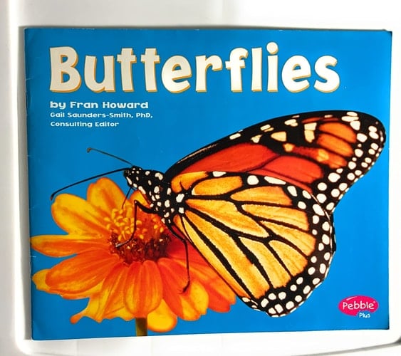 Butterflies [Scholastic]