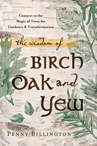 The Wisdom of Birch, Oak, and Yew Connect to the Magic of Trees for Guidance and Transformation