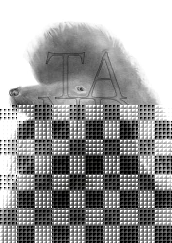 Tandem in der Lehre bei Anke Feuchtenberger : in class with Anke Feuchtenberger