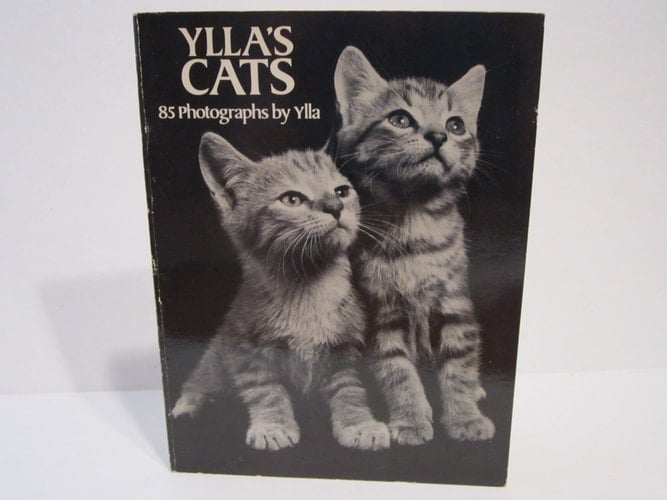 Ylla's Cats 85 Photographs