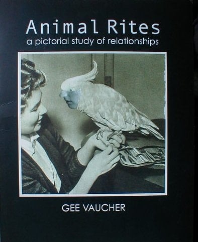 Animal Rites A Pictorial Study of Relationships