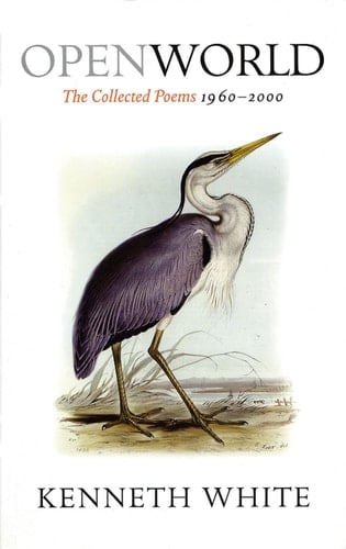 Open World: The Collected Poems 1960-2000