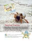 Weather Through the Seasons Akila's Weather Wishes