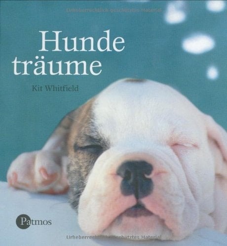Hundeträume