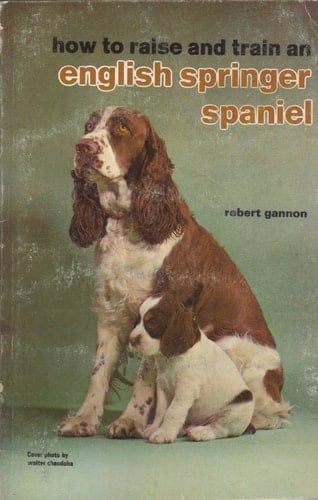 How to Raise and Train an English Springer Spaniel
