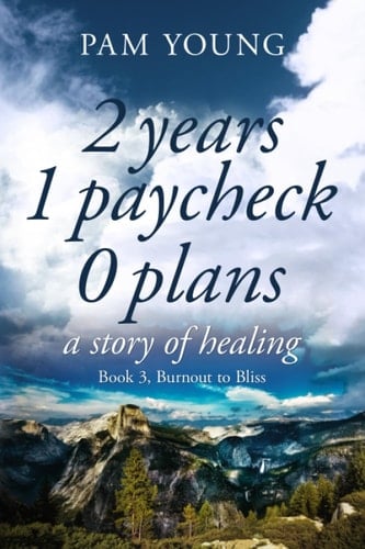 2 years 1 paycheck 0 plans: a story of healing