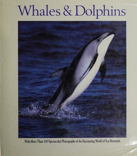 Whales & Dolphins