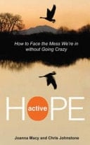 Active Hope How to Face the Mess We're in Without Going Crazy