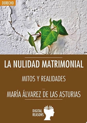 La nulidad matrimonial Mitos y realidades