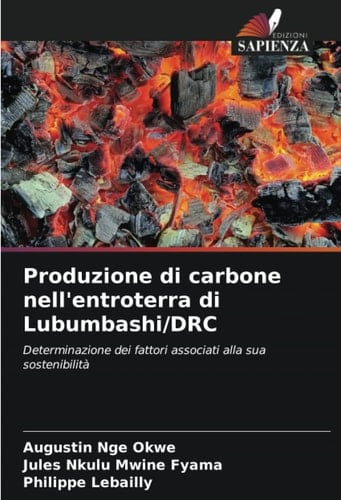 Produzione di carbone nell'entroterra di Lubumbashi/DRC: Determinazione dei fattori associati alla sua sostenibilità (Italian Edition)