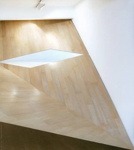 Sarah Oppenheimer MF-142