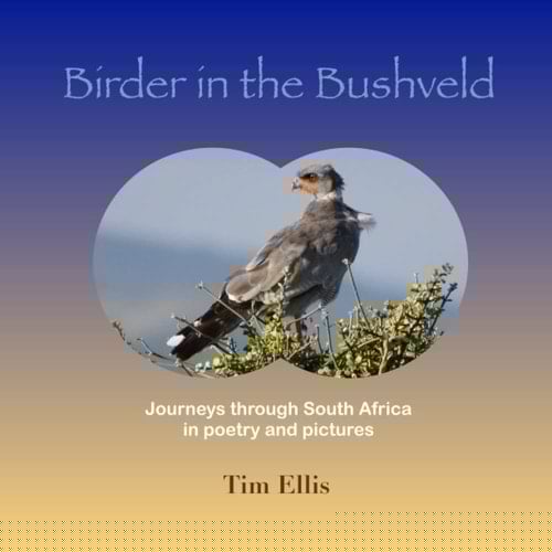 Birder in the Bushveld Journeys Through South Africa in Poetry and Pictures