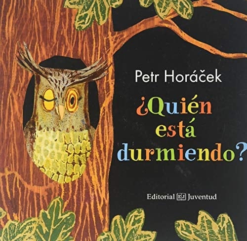 ¿Quién está durmiendo?