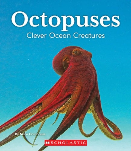 Octopuses Clever Ocean Creatures