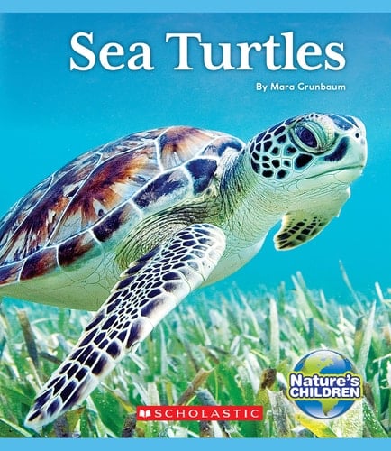 Sea Turtles