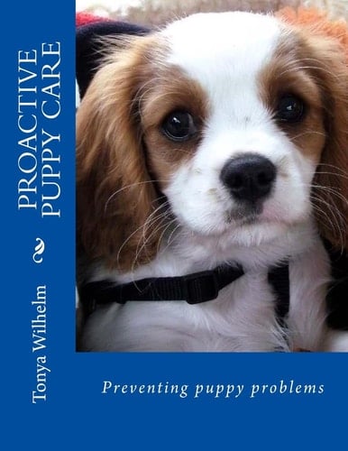 Proactive Puppy Care Preventing Puppy Problems