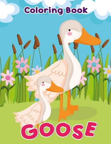 Goose Coloring Book: Farm Animal Colouring Pages | 30 Illustrations Pages to Drawing | For Kids, Childs in Birthday Gifts | Christmas Gifts