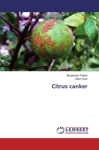 Citrus canker
