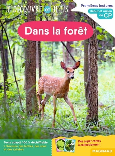 Dans la forêt Début et milieu de CP