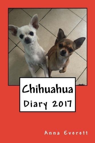 Chihuahua Diary 2017