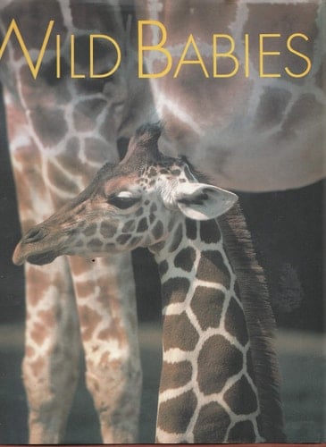 Wild Babies
