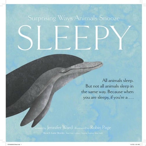 Sleepy Surprising Ways Animals Snooze