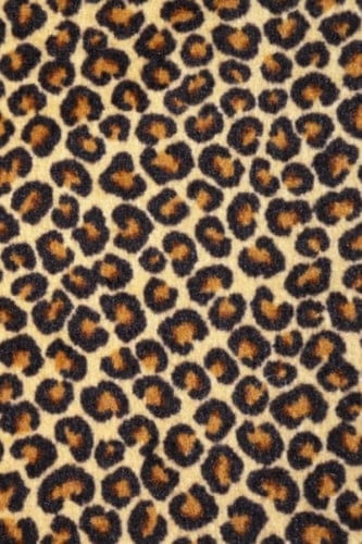 Leopard Notebook