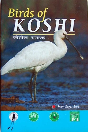 Birds of Koshi