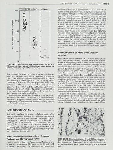 The Metabolic and Molecular Bases of Inherited Disease volume 2