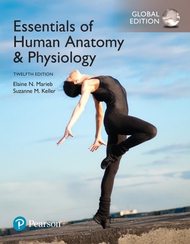 Essentials of Human Anatomy and Physiology, Global Edition