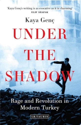 Under the Shadow Rage and Revolution in Modern Turkey