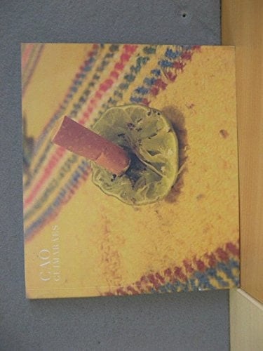 Cao Guimarâes exposición , 2007, CAB, Centro de Arte Caja de Burgos