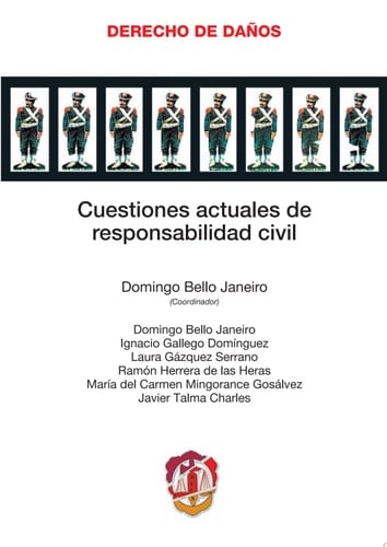 Cuestiones actuales de responsabilidad civil