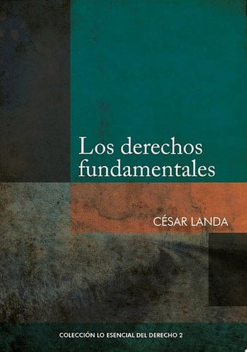 Los derechos fundamentales