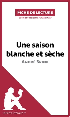 Une saison blanche et sèche d'André Brink (Analyse de l'oeuvre) Analyse complète et résumé détaillé de l'oeuvre