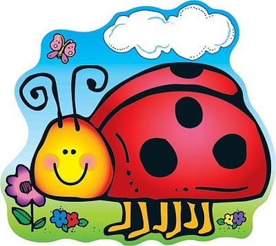 Ladybug