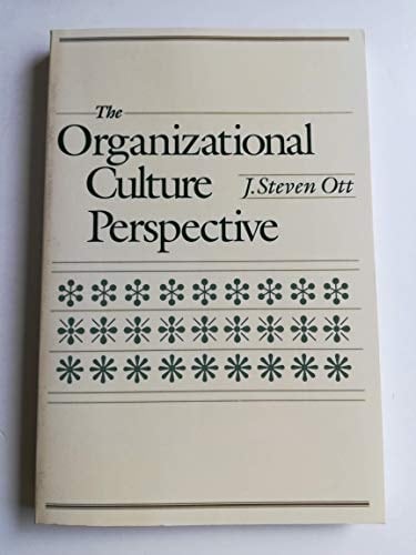 The organizational culture perspective