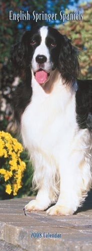 English Springer Spaniels 2008 Slimline Calendar