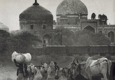 Climate Change and Renewable Energies in Asia and África, 2010