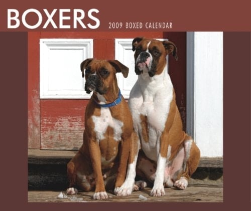 Boxers 2009 Boxed Calendar