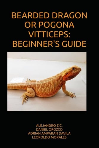 BEARDED DRAGON OR POGONA VITTICEPS: BEGINNER'S GUIDE
