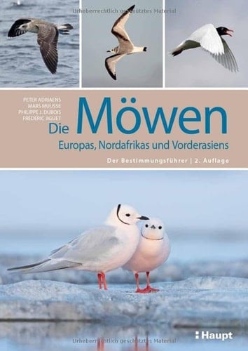 Die Möwen Europas, Nordafrikas und Vorderasiens der Bestimmungsführer