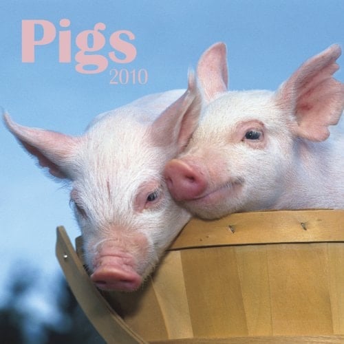 Pigs 2010 Calendar
