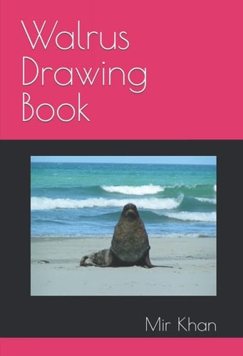 Walrus Drawing Book